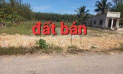 Bán đất sào 1000m2 chính chủ gần sân bay longthành Đồng Nai