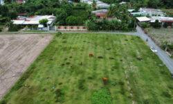 Đất Thị trấn Dương Minh Châu, Tây Ninh gần bên Hồ Dầu Tiếng, Núi Bà Đen