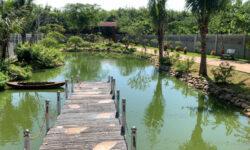B212 – (19 tỷ) Bán nhà, vườn trái cây view hoàn chỉnh rất đẹp tại xã Long Phước, TP.Bà Rịa, BRVT
