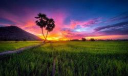 Lô đất màu mỡ – sổ sẵn – giá rẻ mà lại gần TP Tây Ninh