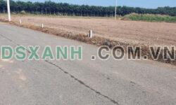 Đất dân giá rẻ sổ sẵn chỉ 200 triệu