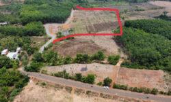 1000m2 300tr đất sổ riêng công chứng ngay Hớn Quản, Bình Phước