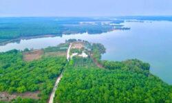 Bán đất view hồ Lộc Quang Bình Phước sổ sẵn