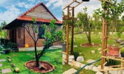 HOT..HOT.. BÁN FARM NGHỈ DƯỠNG TUYỆT ĐẸP