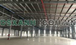 Cho thuê nhà xưởng mới xây dựng tại Hải Dương