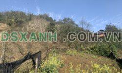 Bán cắt lỗ lô đất vùng ven trung tâm thị trấn SaPa.