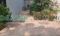Đất khu dân cư hiện hữu HÓA AN BIÊN HÒA 100m2 1,775 tỷ full thổ cư