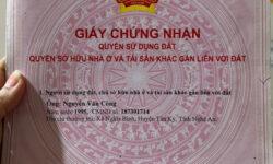 Bán đất thổ cư 125m2 ngay trung tâm thị trấn Đức Hòa Long An