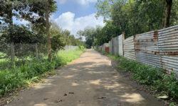 B193 – [SIÊU PHẨM] BÁN VƯỜN SẦU RIÊNG, MĂNG CỤT ĐẸP NHẤT CHÂU ĐỨC, CÓ SẴN 300M2 THỔ CƯ