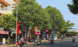 Bán nhà 1T1L đường Phạm Hồng Thái trung tâm thành phố chỉ 2,8 tỷ