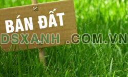 Đất trung tâm MT DDT746, p.Uyên Hưng, TP.Tân Uyên, SHCC; 10 tỷ; 0968903131