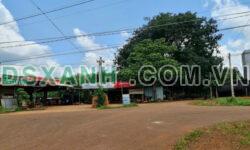 Bán đất xã Thuận Lợi, Đồng Phú, Bình Phước đường nhựa 32m, Dân cư đông đúc, 600tr/1000m2