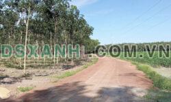 Em còn lô đất 26 x 50 tại Đồng Phú, Bình Phước giá rẻ nhất huyện