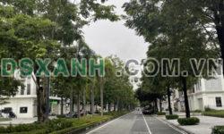 Nhỉnh 25 Tỷ, Liền kề Vip – The Manor Central Park 75m x 5T x Mt 6M. LH 0901766566.