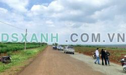 Hiện tại e còn hai lô ngay khu du lịch suối lam sổ sẳn