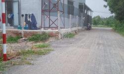 Cần bán đất giá rẻ đường nhựa Phước Hội,Huyện Đất Đỏ, Bà Rịa – Vũng Tàu