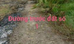 16000m2 đất vườn xã Thạnh Hòa ,Bến Lức, Long An giá 5ty900
