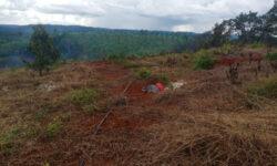 Chính Chủ Cần Bán Lô Đất Vườn Vị Trí Đẹp Tại Bình Phước