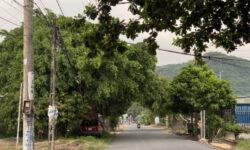 Đất chợ Kim Hải – Kim Dinh
