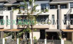 Nguyên căn Shophouse dự án LAVIDA,đường Phạm Hữu Lầu