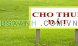 Chính chủ cho thuê đất làm kho xưởng hoặc văn phòng tại Ngõ 229B đường Nguyễn Văn Linh, quận Long Biên, Hà Nội.