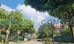 Sale Sập sàn 01 lô đất nhà ống giá siêu rẻ, KĐT cột 5-8 mở rộng, gần bãi tắm hòn gai, P. Hồng Hà, Hạ Long.