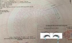 Chính chủ gửi bán đất mặt tiền 30/4 diện tích 143m2 giá đầu tư chỉ 12,5 tỷ
