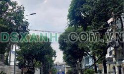 BÁN BIỆT THỰ NGHỈ DƯỠNG NGUYỄN HỮU THỌ, PHƯỚC KIỂNG, -200M2  CHỈ:75Tr/m2 TL