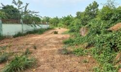 Bán 1000m Đất Mặt Tiền Tà Lài xã Phú Lộc, huyện Tân Phú, Đồng Nai – Quy Hoạch Đất Ở