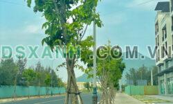 bán nhà 8 tỷ chỉ cần 2ty6 nhận nhà vào sử dụng luôn ,view tp biển tuy hòa 0866563878