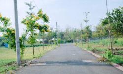 CHỦ CẦN TIỀN NÊN CẦN BÁN GẤP LÔ ĐÁT BIỆT THỰ VƯỜN VEN SÀI GÒN, LIỀN  KỀ QUỐC LỘ 1A, CÁCH NGÃ 3 DẦU GIÂY 6KM, SỔ ĐỎ CẦM