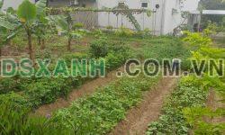 Đất nền Vân Đồn khu phân lô quân đội 90m2 phun thổ cư