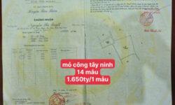 Bán đất Mỏ Công Tân Biên Tây Ninh