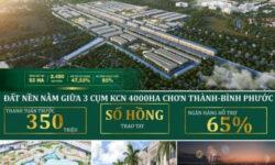 VÌ SAO PHÚC HƯNG GOLDEN LẠI LẠI “HOT” ĐẾN THẾ?