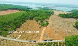Chính chủ cần bán gấp lô đất view hồ 5×50 thổ cư 100m2 giá 270triệu
