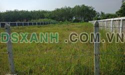 Bán 1253m2 đất MT đường Vành Đai 4 xã An Điền tx Bến Cát, SHR, 22tr/m2. Lh:0985641781
