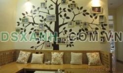 Chính chủ cần bán căn hộ 94m² CC số 6 Đội Nhân, Phường Vĩnh Phúc, Ba Đình, Hà Nội