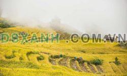 BÁN ĐẤT NỀN VỊ TRÍ ĐẸP TẠI TRUNG TÂM Y TÝ ( Sapa 2)