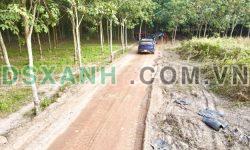 Bán 533m2 đất Tân Bình, Bắc Tân Uyên, Bình Dương giá chỉ 1ty390