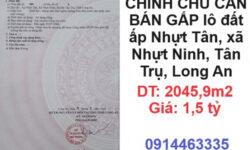 ⭐CHÍNH CHỦ CẦN BÁN GẤP lô đất ấp Nhựt Tân, xã Nhựt Ninh, Tân Trụ, Long An; 1,5tỷ; 0914463335