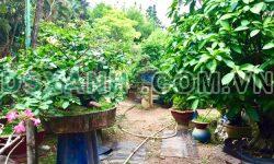 BÁN GẤP ĐẤT VÀNG TRUNG TÂM THUẬN AN, BÌNH DƯƠNG – DỄ DÀNG ĐẦU TƯ SINH LỜI