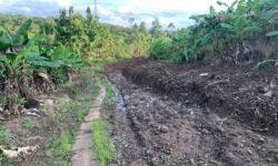 Chốt chốt đất vườn đã có sổ cách ngã tư dầu giây 4 km 1000m2 chỉ 999 triệu liên hệ em Hòa