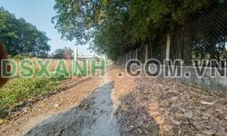 Đất thổ cư sổ riêng, giá rẻ tại Tp Thủ Dầu Một