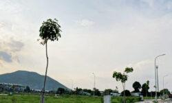 Cần bán lô đất mặt tiền đường sân bay sát quốc lộ 55