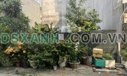 Bán đất huyện Nhà Bè, 40m2 thổ cư, đồng sở hữu, 1.6 tỷ. Lh:0986206626.