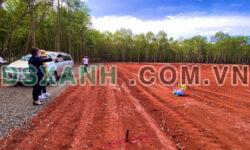đất bình phước giá rẻ