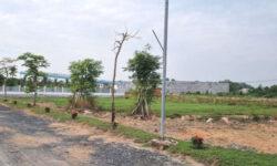 Bán Lô Đất Trung Tâm Đức Hòa SHR Công Chứng Ngay