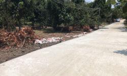 Cần Tiền Bán Gấp 5m Đất ở Full thổ cư tại Bình Lộc, Tp. Long Khánh