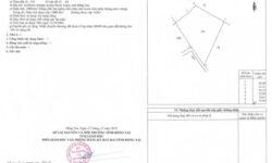 Chủ đất cần ra nhanh 2989m2 xã Phước Khánh Nhơn Trạch giá chỉ 600 ngàn/m.
