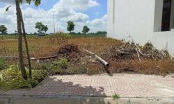 Đất nền tỉnh lộ 824 TT Đức Hoà, Long an